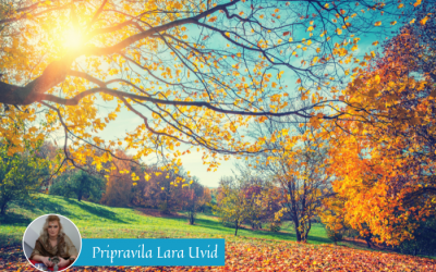 Vikend energijska napoved (24. – 26. 9. 2021)