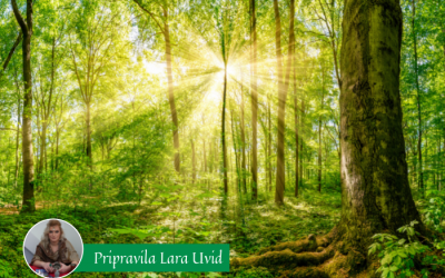 Mesečni horoskop za september 2021
