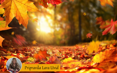 Tedenska energijska napoved (18. 10. – 24. 10. 2021)