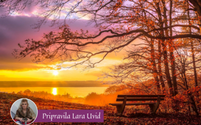 Tedenska energijska napoved (15. – 21. 11. 2021)