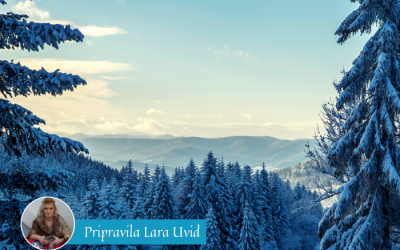 Tedenska energijska napoved (13. 11. – 19. 12. 2021)