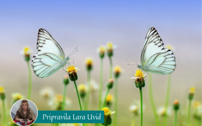 Tedenska energijska napoved (28. 3. – 3. 4. 2022)