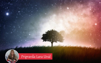 Tedenska energijska napoved (15. – 21. 8. 2022)