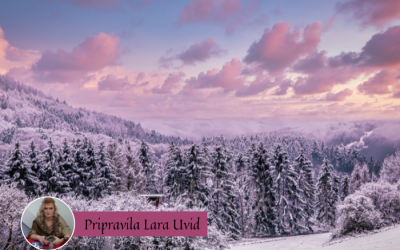 Tedenska energijska napoved (16. – 22. 1. 2023)