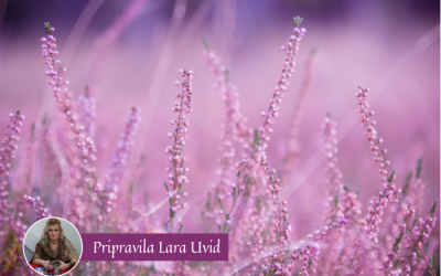 Mesečni horoskop za september 2024