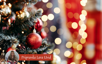 Tedenska energijska napoved (23. – 29. 12. 2024)