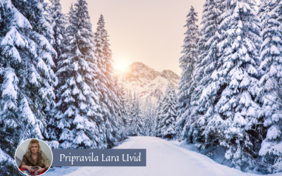 Tedenska energijska napoved (6. – 12. 1. 2025)