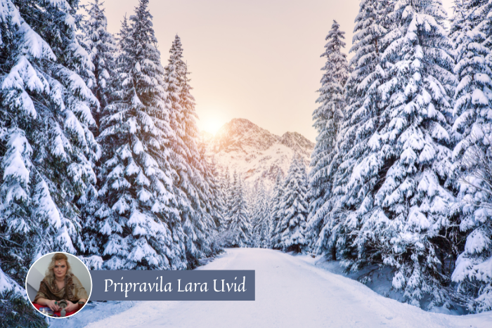 Tedenska energijska napoved (6. – 12. 1. 2025)