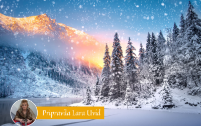 Tedenska energijska napoved (13. – 19. 1. 2025)